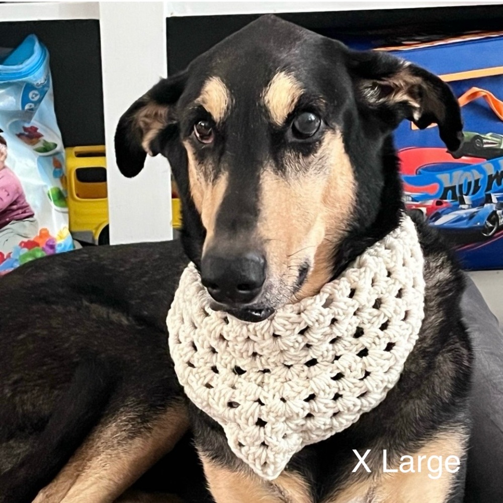 Crochet Pet Bandana Custom Order Listing - Picture 3 of 10